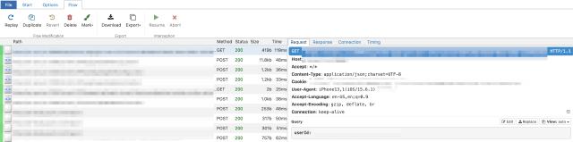 mitmweb flow